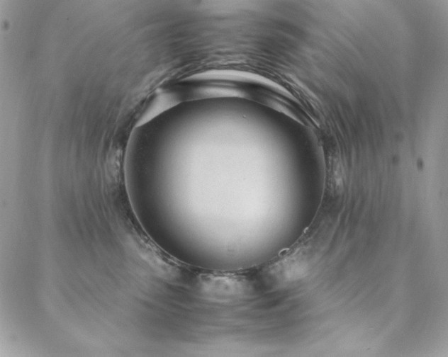 X0000089360475200706151138