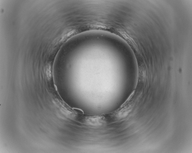 X0000089360479200706151138