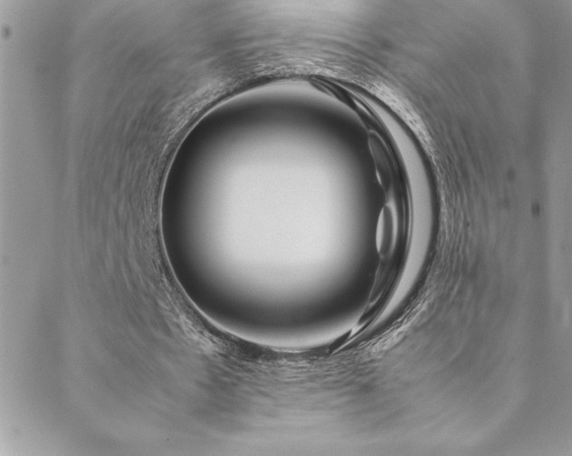 X0000089360481200706151137