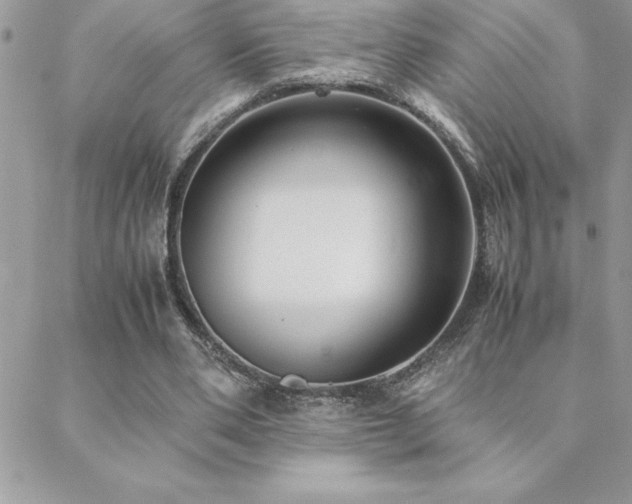 X0000089360486200706151137