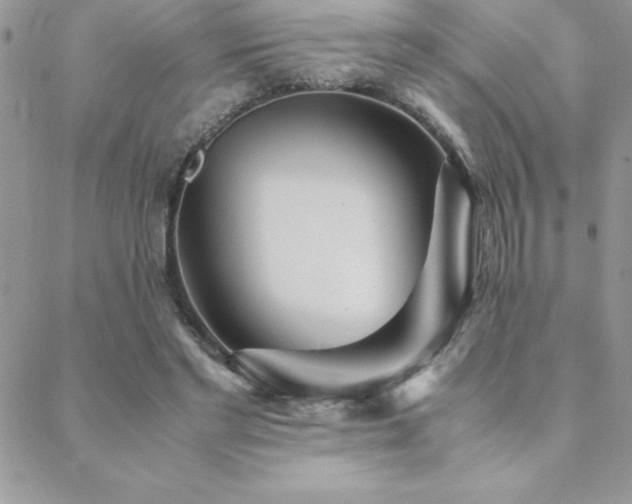 X0000089360493200706151137