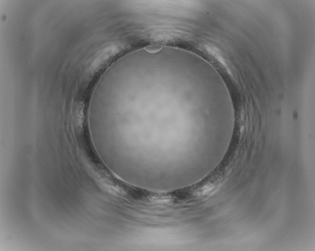 X0000089360495200706151137