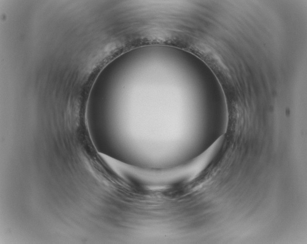 X0000089360496200706151137
