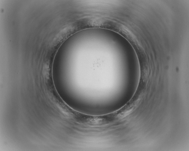 X0000089360497200706151137
