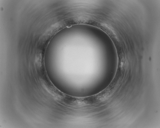 X0000089360498200706151137