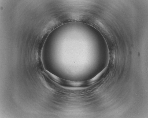 X0000089360500200706151137