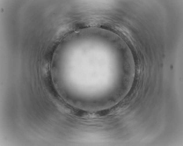 X0000089360503200706151137