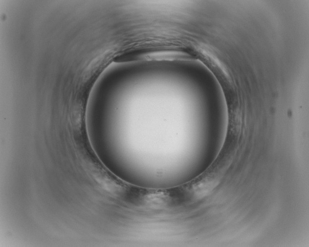 X0000089360505200706151137