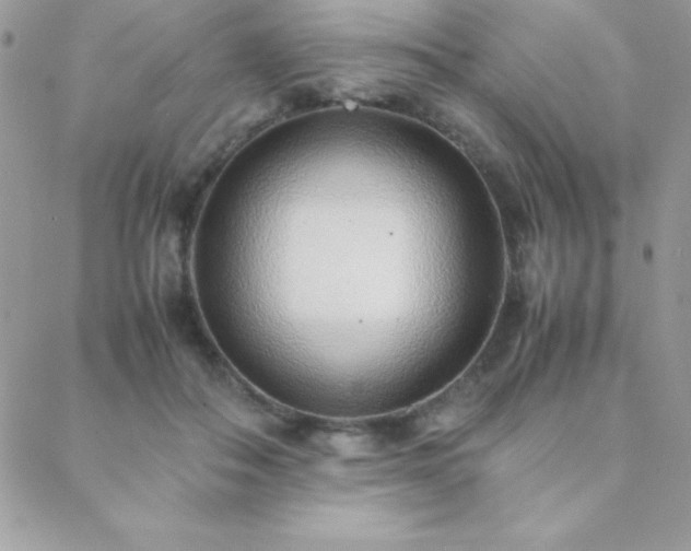 X0000089360506200706151137