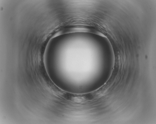 X0000089360508200706151137