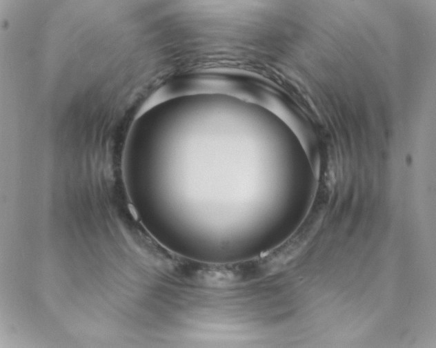 X0000089360512200706151137