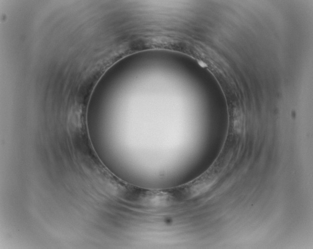X0000089360514200706151137