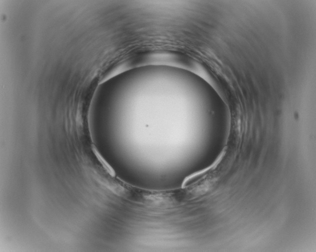 X0000089360516200706151137