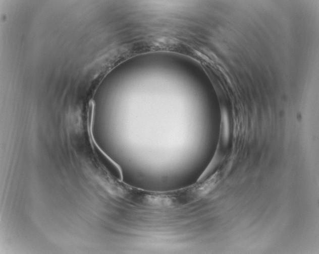 X0000089360520200706151137