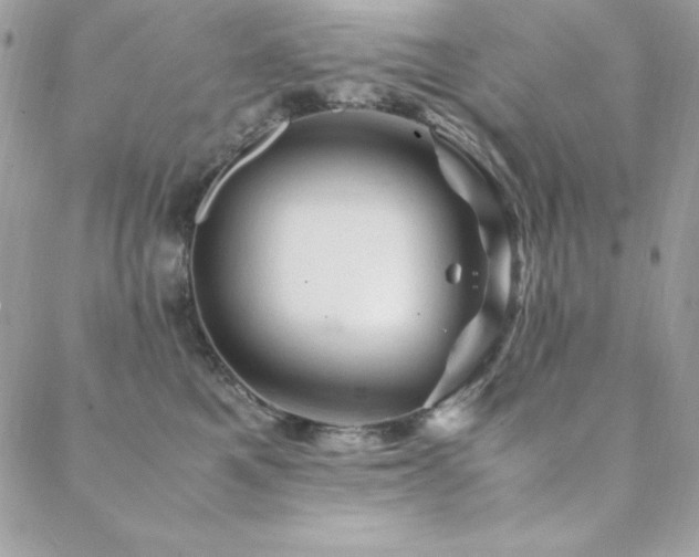 X0000089360521200706151137