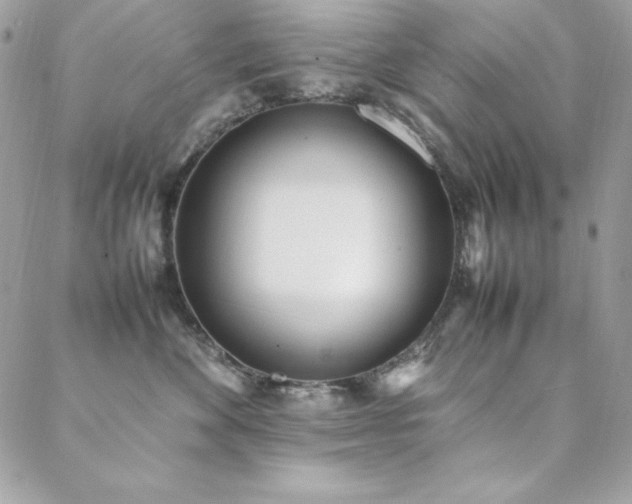 X0000089360524200706151137