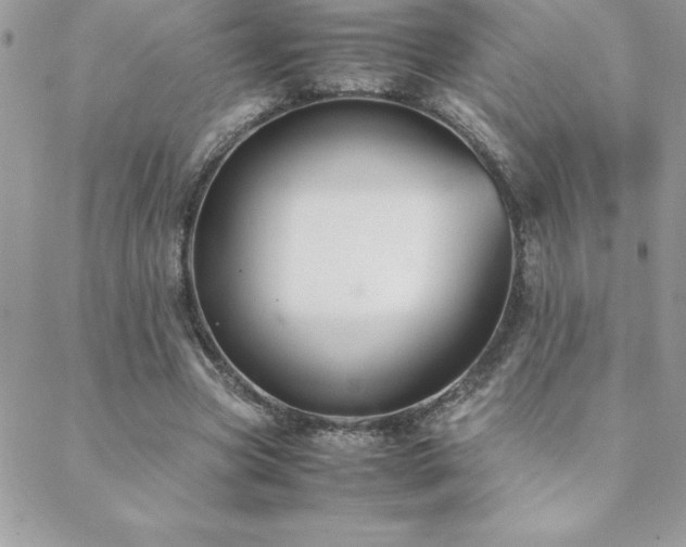 X0000089360537200706151136