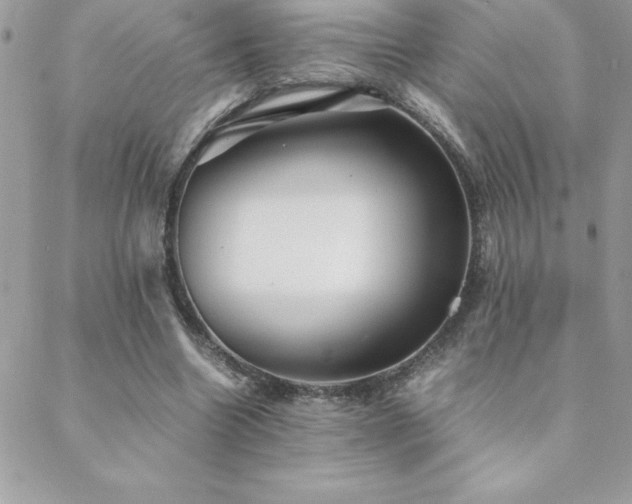 X0000089360538200706151136