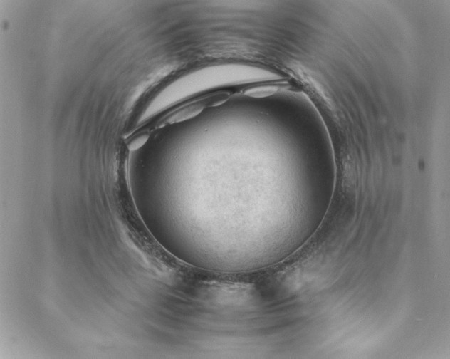 X0000089360539200706151136