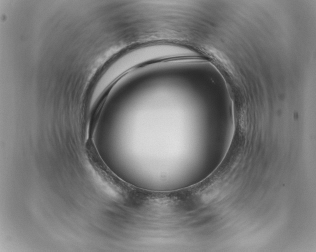 X0000089360540200706151136