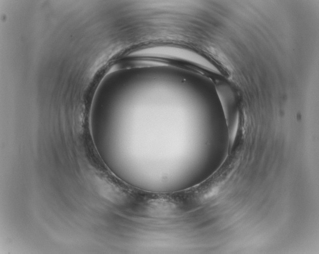 X0000089360544200706151136