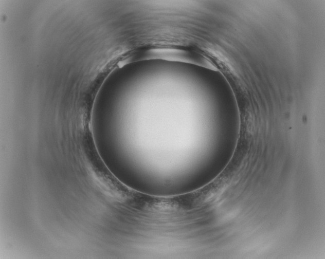 X0000089360546200706151136