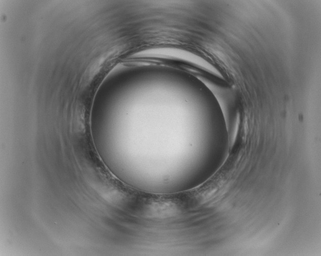X0000089360547200706151136