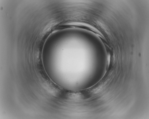 X0000089360548200706151136