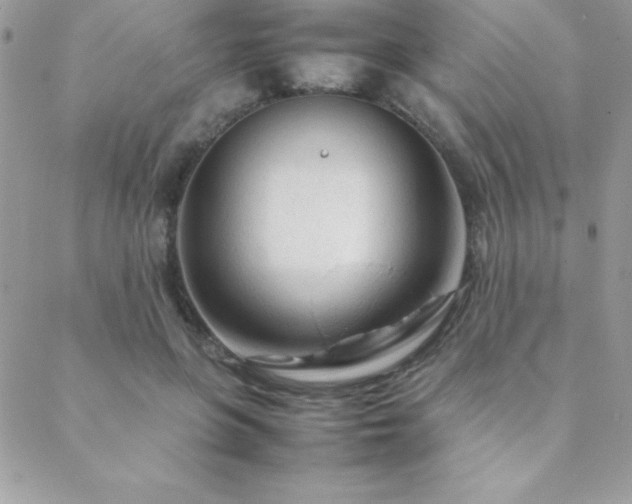 X0000089360551200706151136