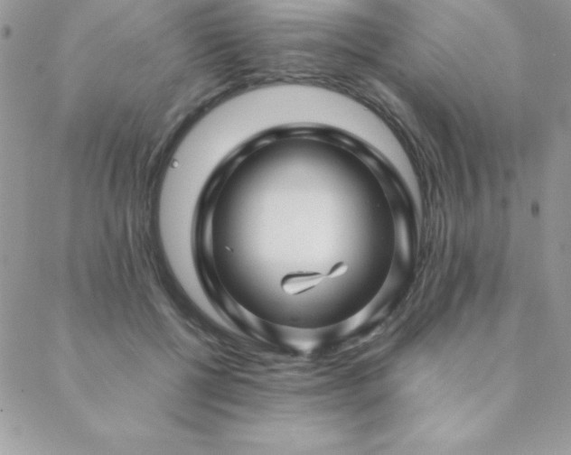 X0000089360552200706151136