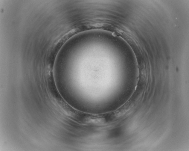 X0000089360555200706151136