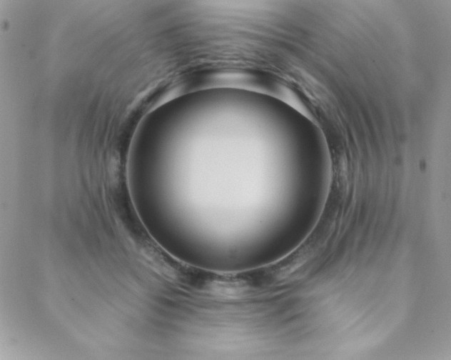 X0000089360556200706151136