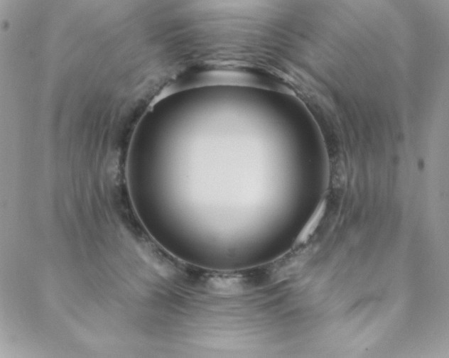 X0000089360560200706151136