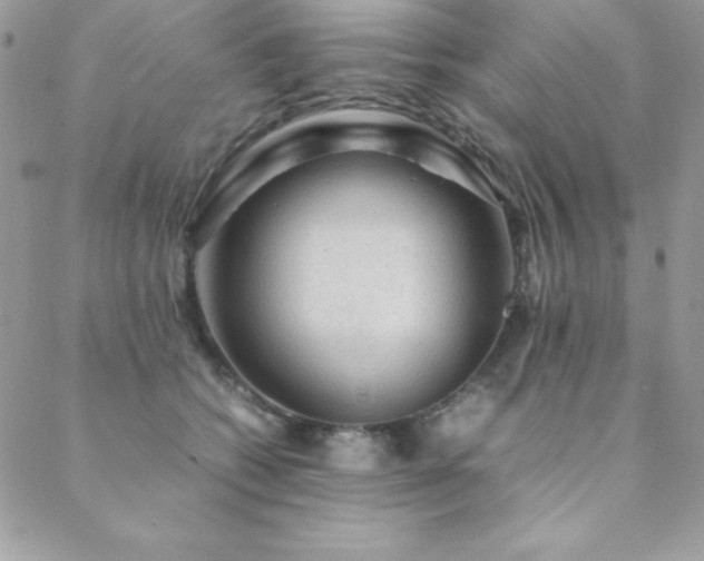 X0000089360562200706151136