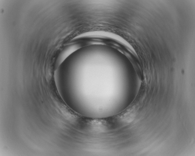 X0000089360566200706151136
