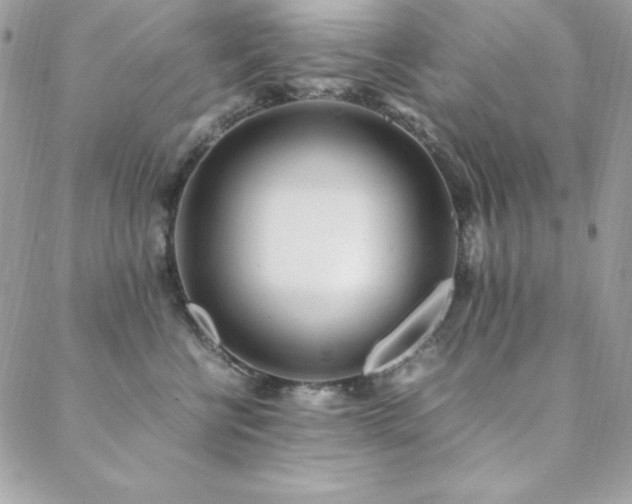X0000089360570200706151137