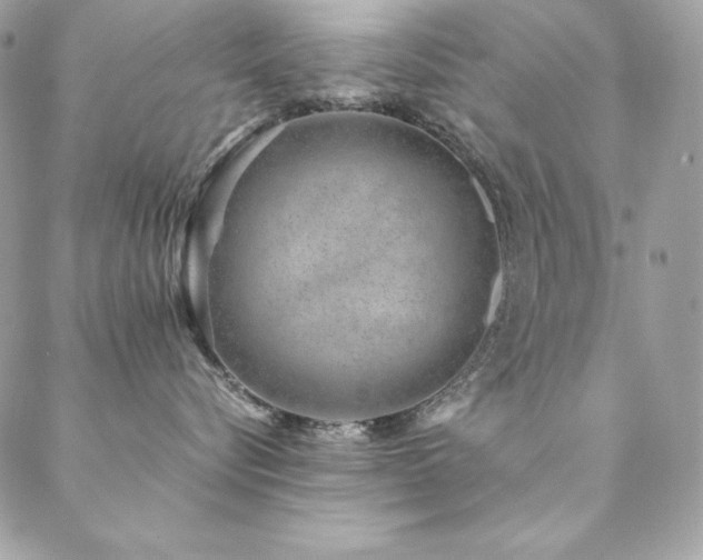 X0000089360576200706151137