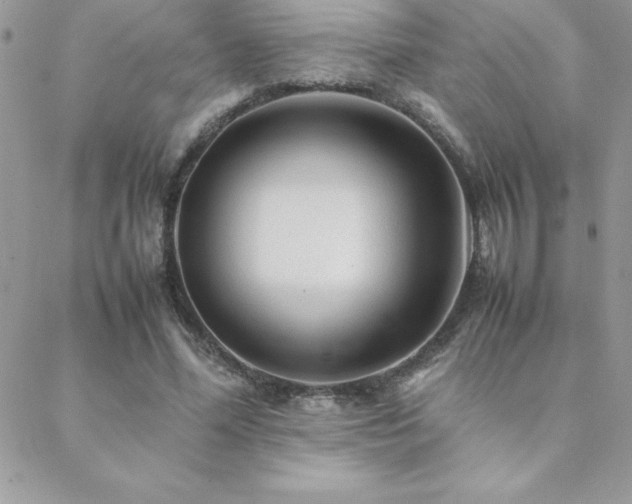 X0000089360588200706151135