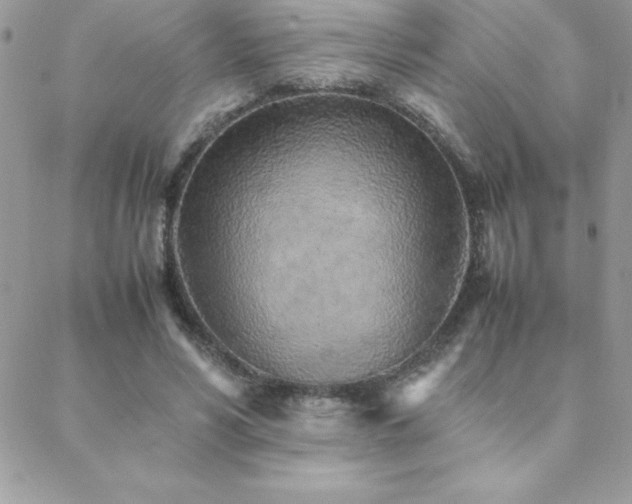 X0000089360590200706151135