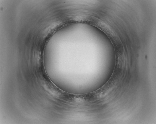 X0000089360592200706151135