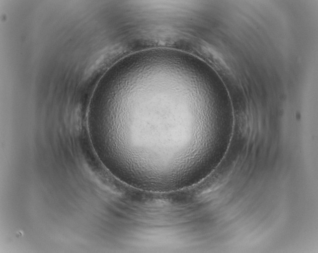 X0000089360594200706151135