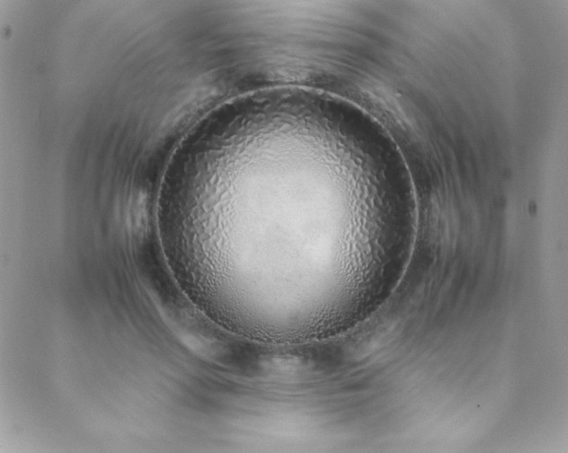 X0000089360598200706151135