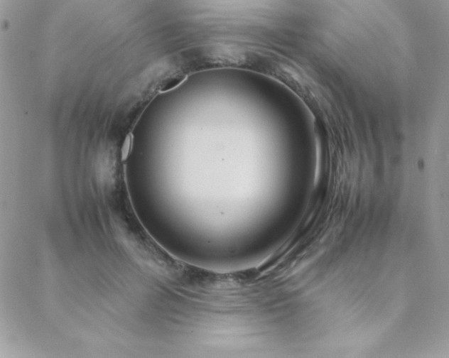 X0000089360600200706151135