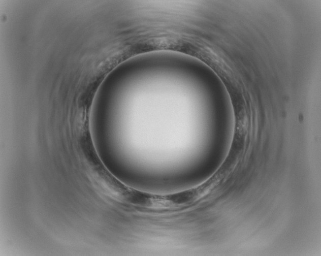 X0000089360605200706151135