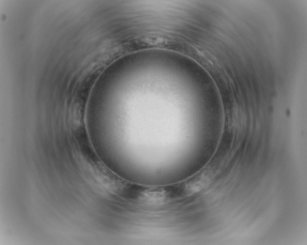 X0000089360606200706151135