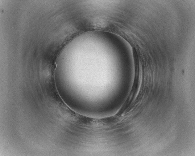 X0000089360608200706151135