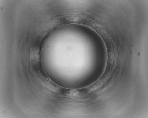 X0000089360612200706151135