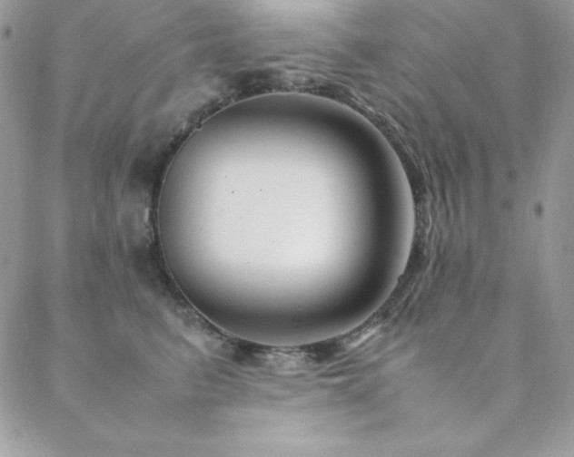 X0000089360615200706151135