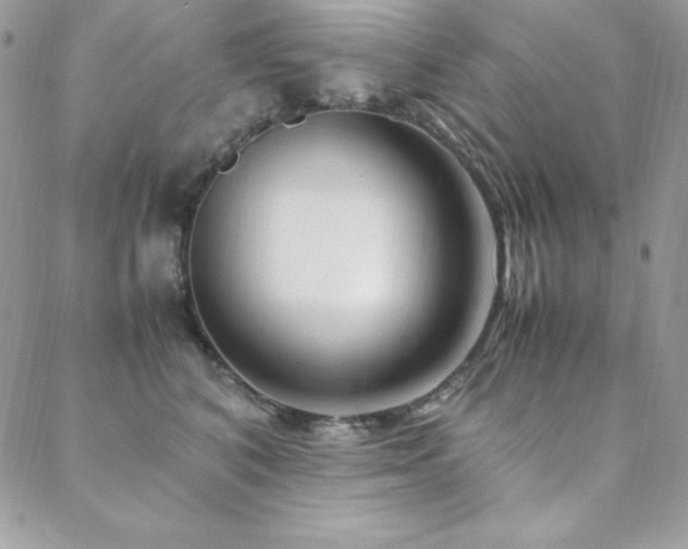 X0000089360616200706151135