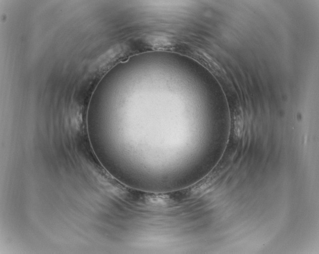 X0000089360618200706151135